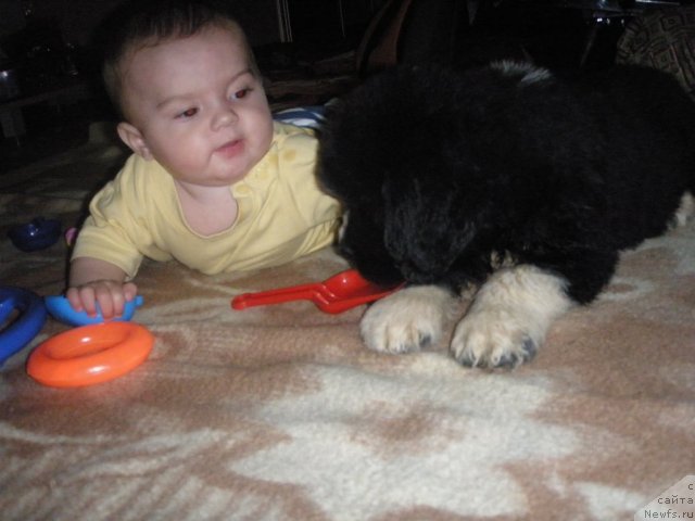 Фотография № 71929