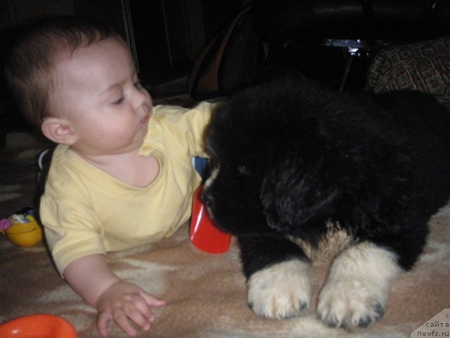 Фотография № 71931