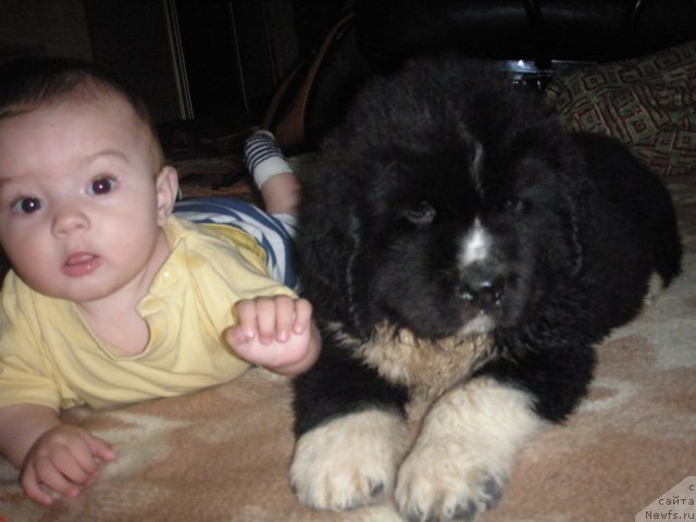 Фотография № 71932