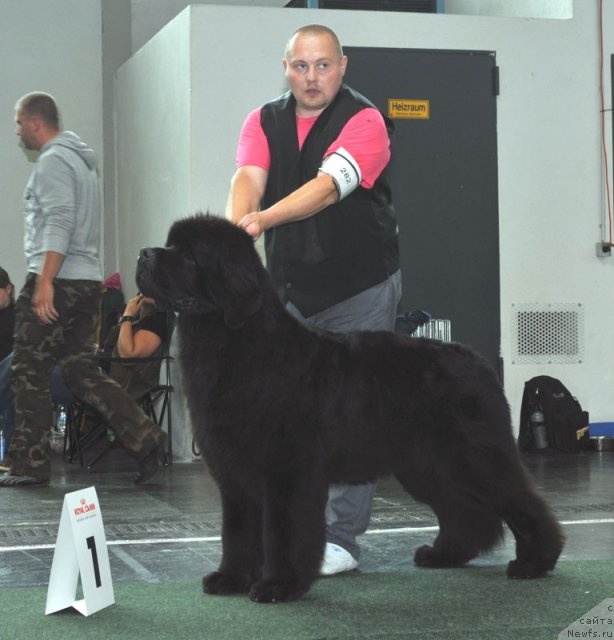 Фотография № 71940