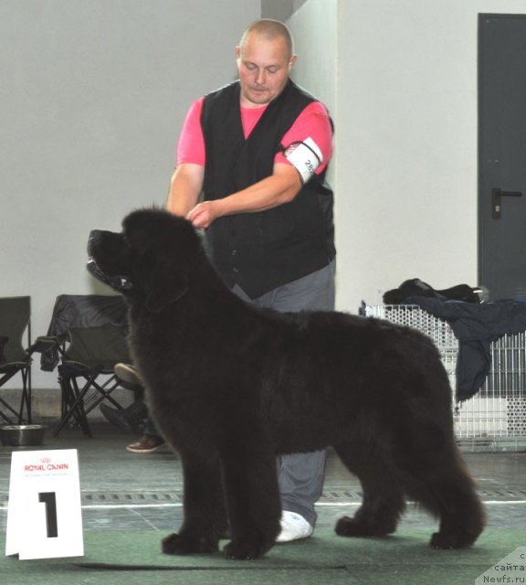 Фотография № 71941