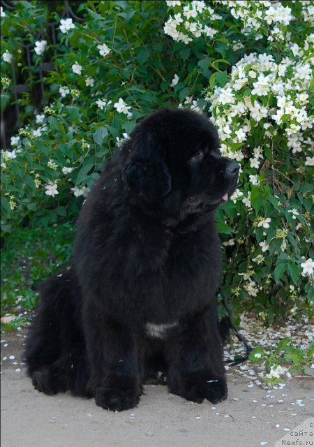 Фотография № 71948