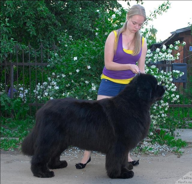 Фотография № 71954