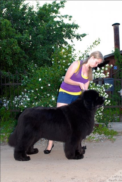 Фотография № 71955