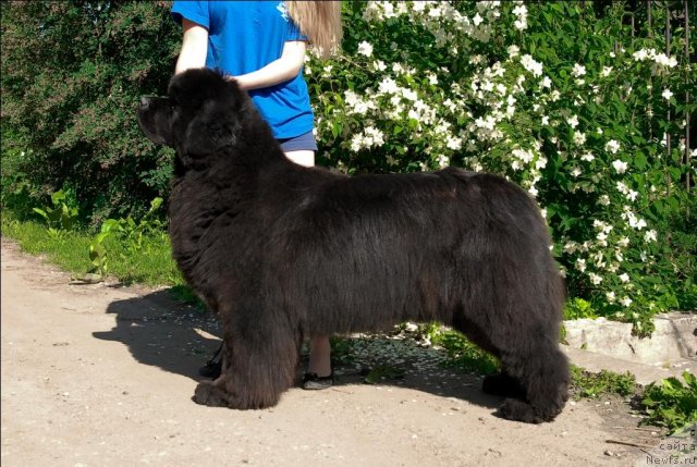 Фотография № 71958