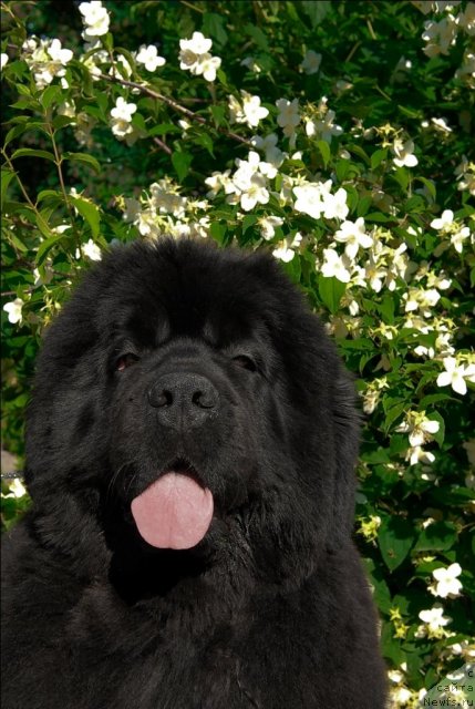 Фотография № 71961