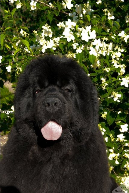 Фотография № 71962