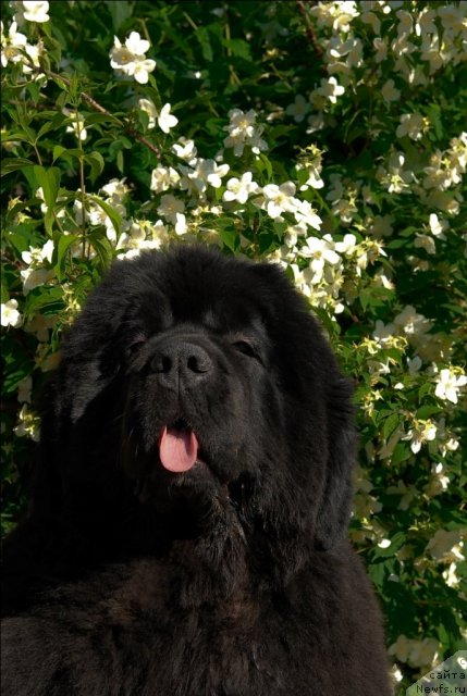 Фотография № 71967