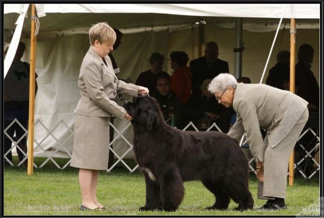 Фотография № 71974