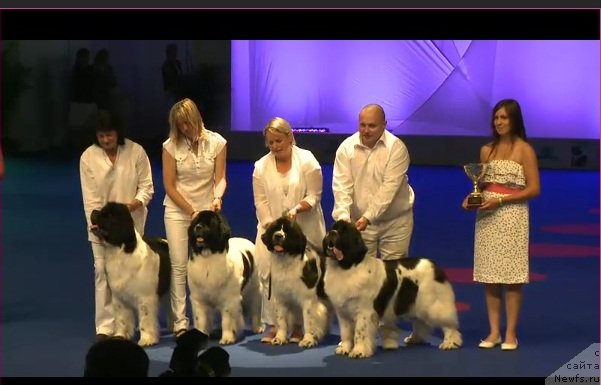 Фотография № 71975