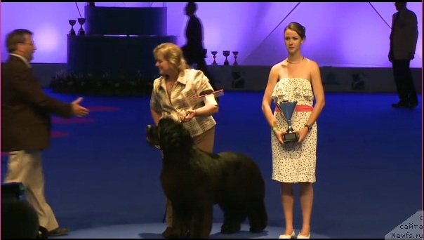 Фотография № 71985