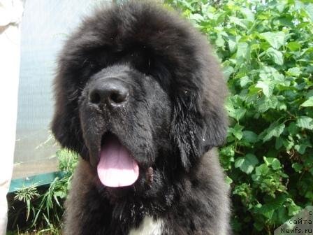 Фотография № 72023