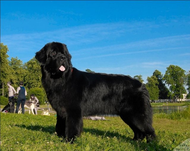 Фотография № 72106