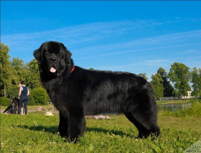 Фотография № 72107