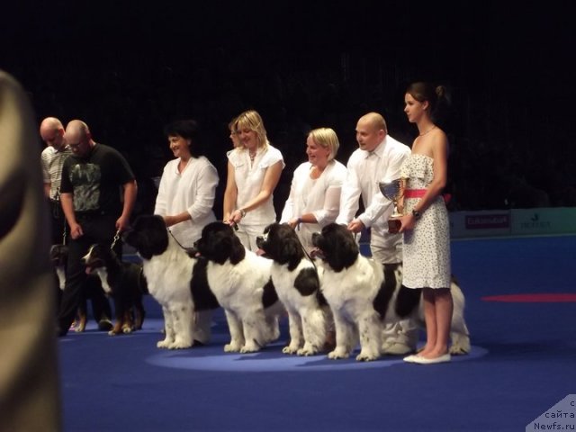 Фотография № 72129