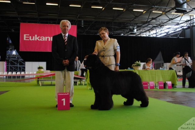 Фотография № 72130