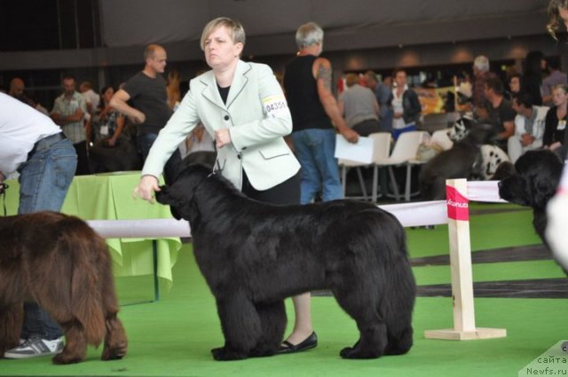 Фотография № 72141