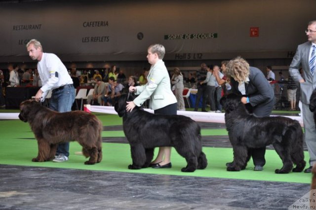 Фотография № 72142