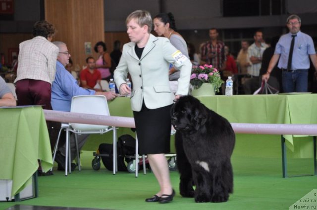 Фотография № 72143