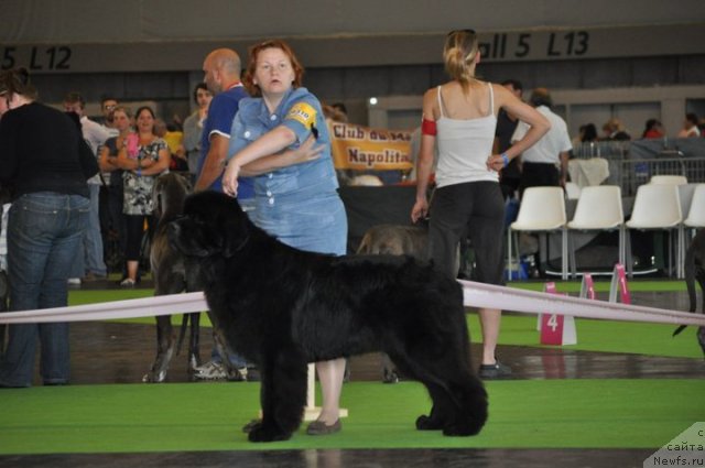 Фотография № 72145