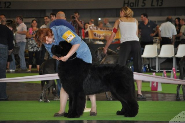 Фотография № 72146