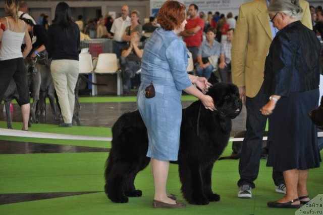 Фотография № 72147