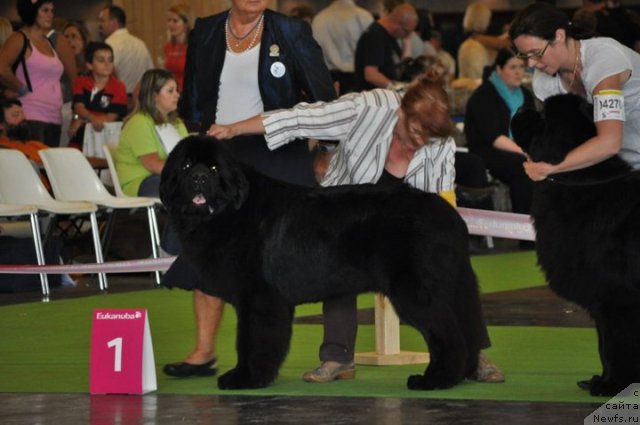 Фотография № 72149