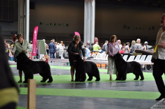 Фотография № 72150