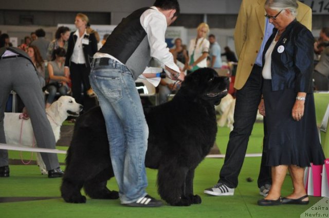 Фотография № 72153