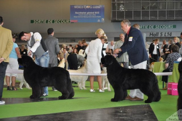 Фотография № 72154