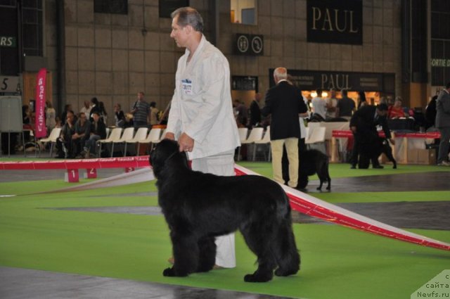 Фотография № 72157