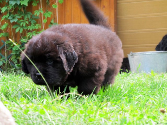 Фотография № 72175