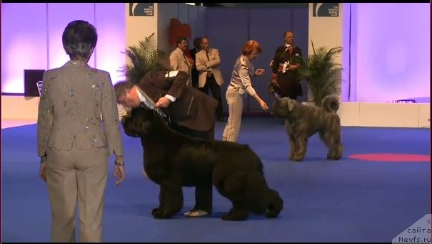 Фотография № 72199