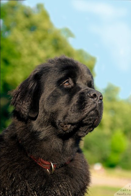 Фотография № 72254