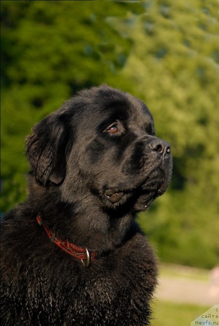 Фотография № 72255