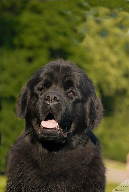 Фотография № 72256