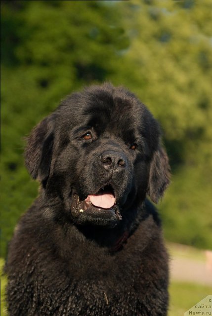 Фотография № 72257