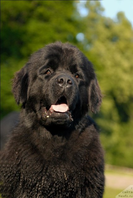 Фотография № 72258