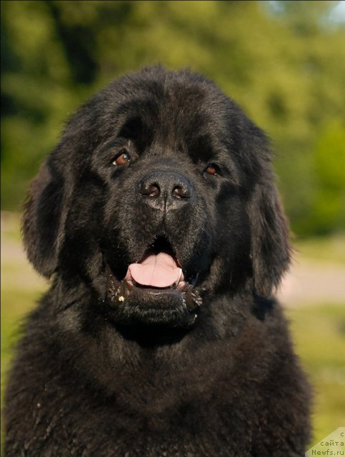 Фотография № 72259