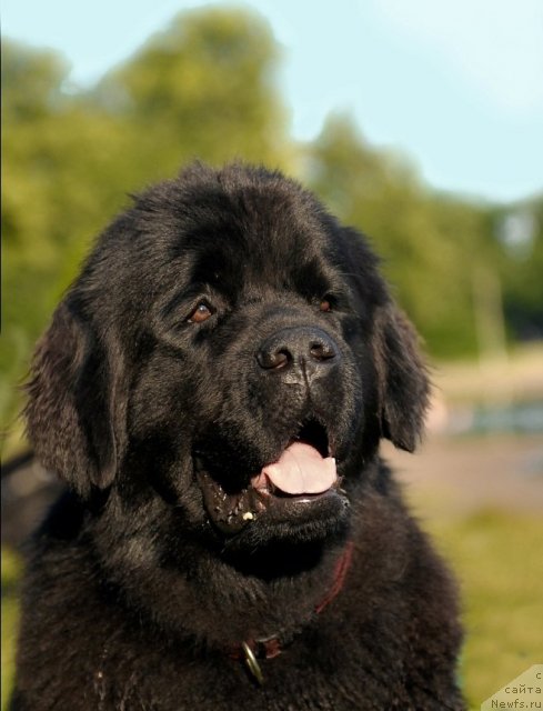 Фотография № 72260