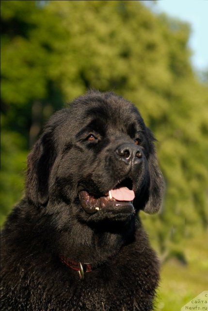 Фотография № 72261