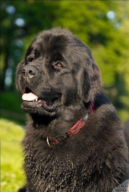 Фотография № 72262