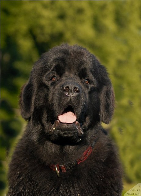 Фотография № 72263