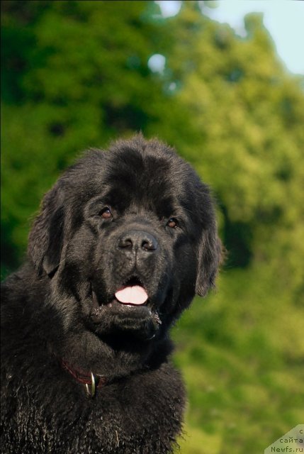 Фотография № 72265