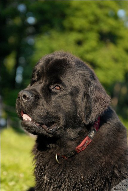 Фотография № 72266