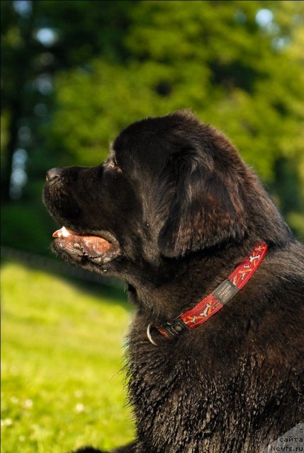 Фотография № 72267