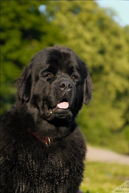 Фотография № 72268