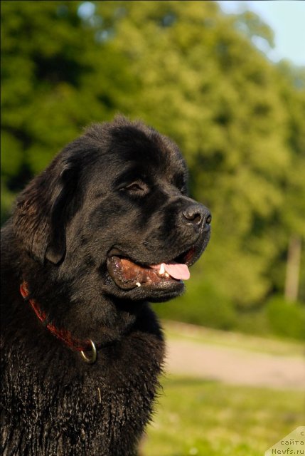 Фотография № 72269