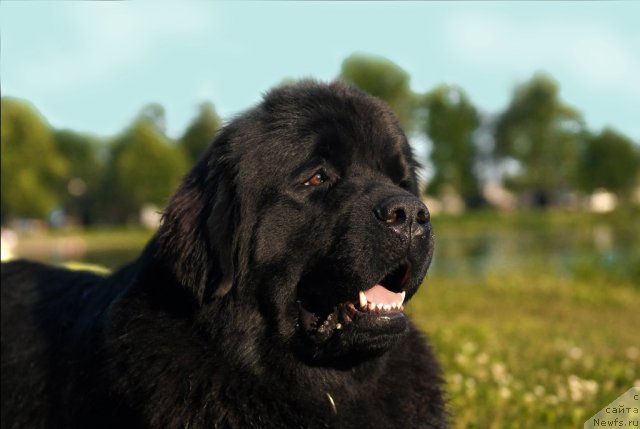 Фотография № 72270