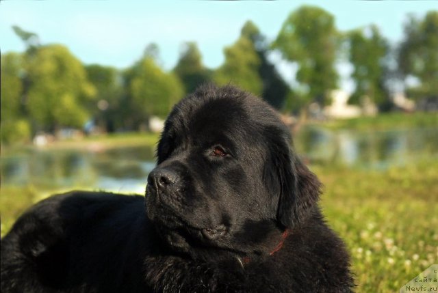 Фотография № 72271